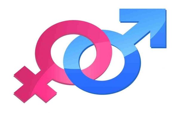 Chiến lược quốc gia về bình đẳng giới giai đoạn 2011 – 2020