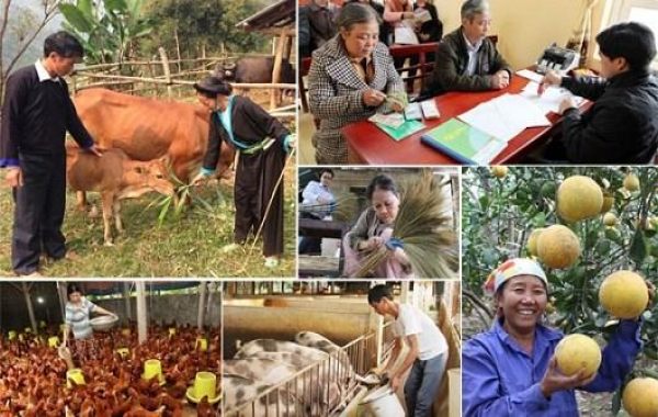 Hỗ trợ thực hiện nghị quyết 80 (2011-2020) và chương trình mục tiêu giảm nghèo bền vững (2012-2015)