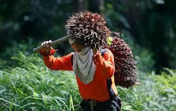 Kinh nghiệm giảm nghèo ở một số quốc gia khu vực đông nam á