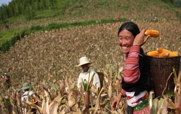 Thực hiện chiến lược xóa đói, giảm nghèo: thành tựu ấn tượng nhưng còn nhiều thách thức