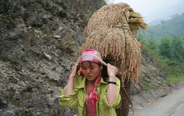 Xóa đói giảm nghèo cho các dân tộc thiểu số: thách thức và nỗ lực